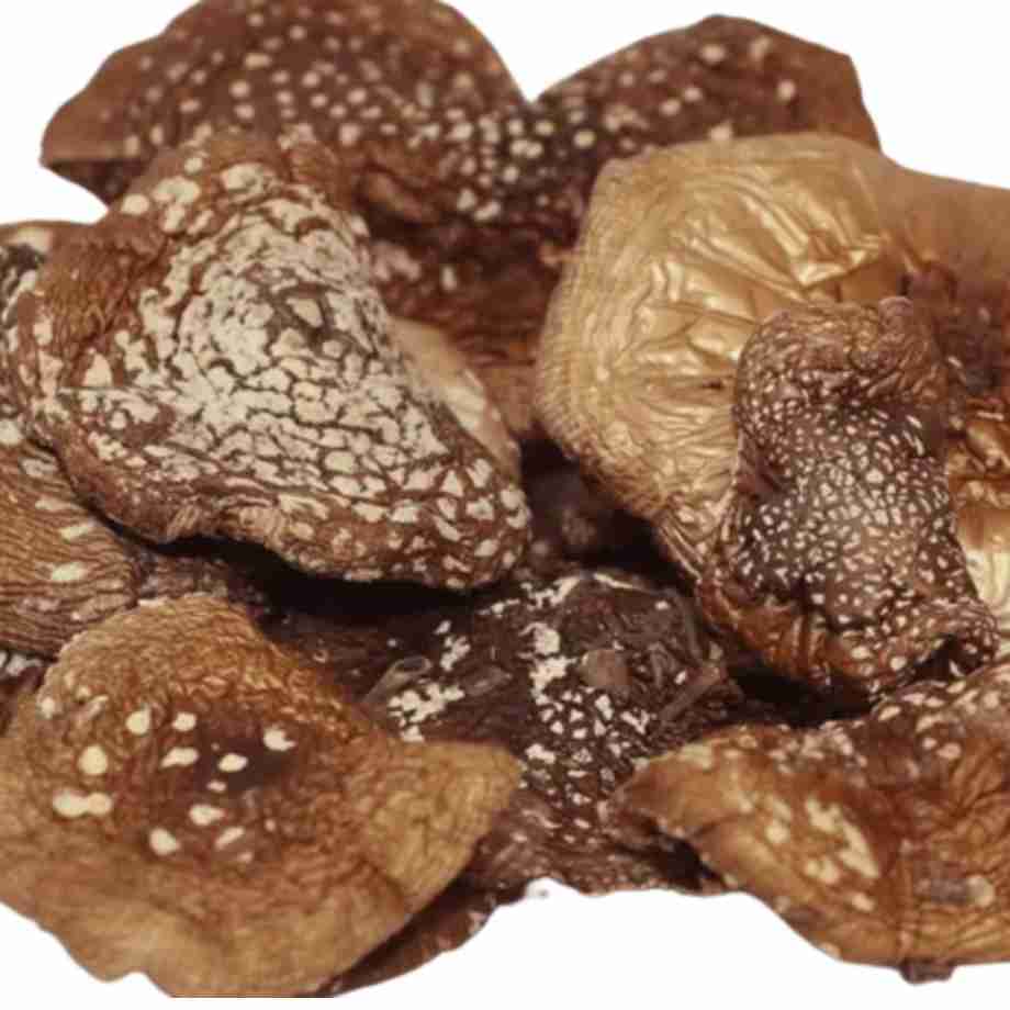 Amanita Phanterina Trockner Cerimona und Microdosing