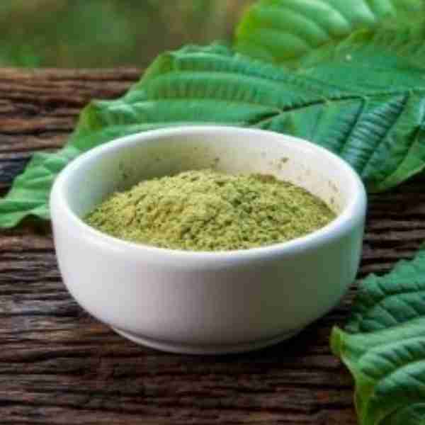 Kratom Borneo White - Mitragyna Speciosa