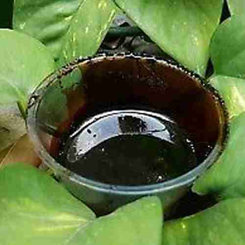 Ayahuasca Banisteriopsis Caapi Himmel - Original Chacruna, Chaliponga , Harmala, Mimosa (in den Teig)